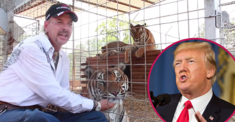 The President to Pardon Joe Exotic?