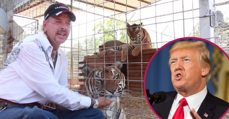 joe exotic donald trump